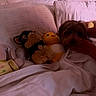 Suki joined the competition — help win amazing prizes! dog, stuffed_toy, bed, pillow, blanket, hand, indoor, cozy, resting, soft_light, plush, comfort, bedroom, pet, animal, sleepy, cuddle, fabric, toy, relaxation