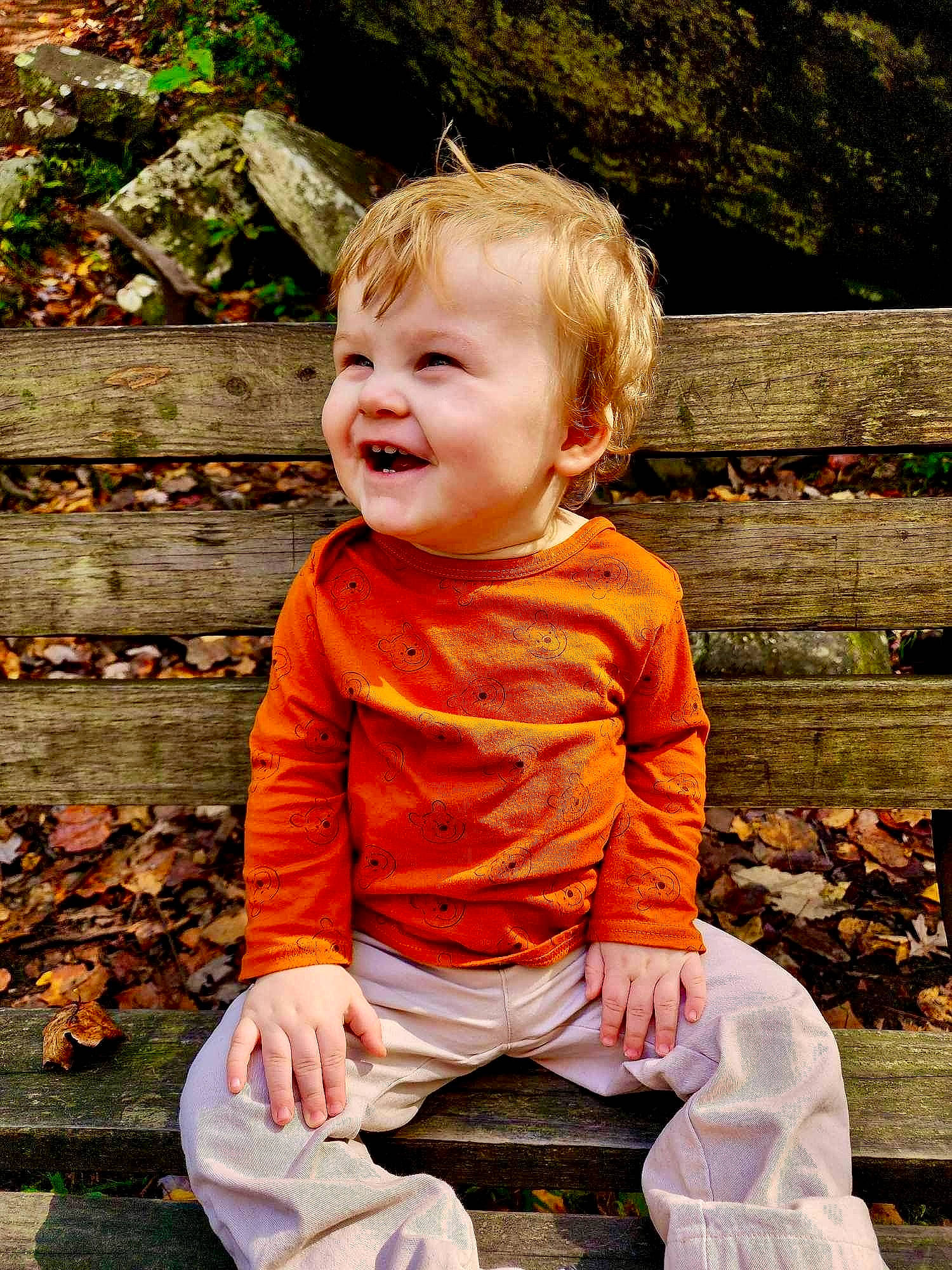 Malakai is registered to the contest to win money with this photo: baby_toddler_clothing, cheek, child, dress, eye, fun, grass, happy, joy, leisure, orange, people_in_nature, person, plant, sitting, sleeve, smile, summer, t_shirt, toddler