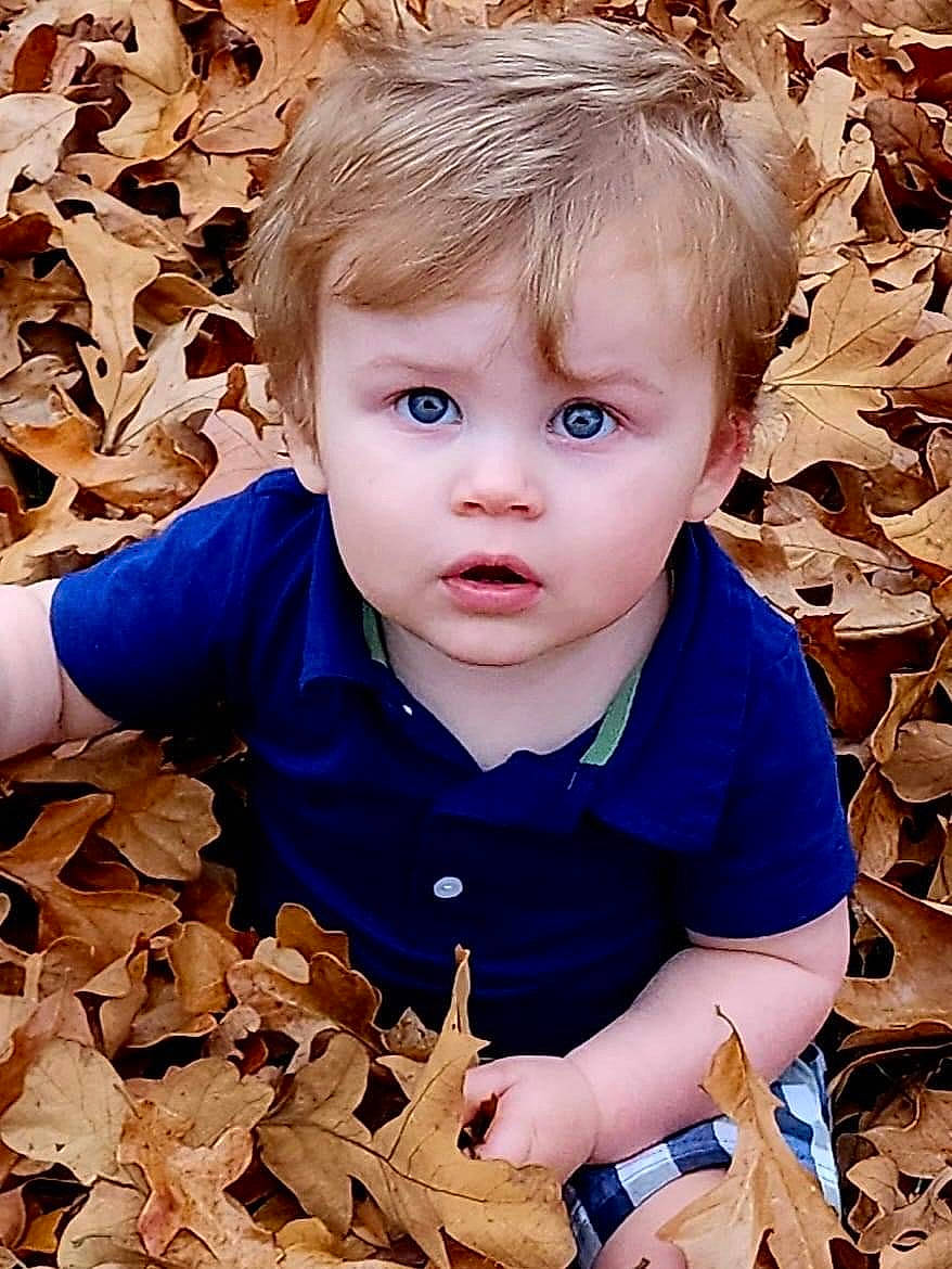 Malakai is registered to the contest to win money with this photo: adaptation, baby, baby_toddler_clothing, cheek, eye, face, facial_expression, fun, grass, happy, head, human_body, leaf, organ, people_in_nature, person, photograph, plant, surprise, toddler