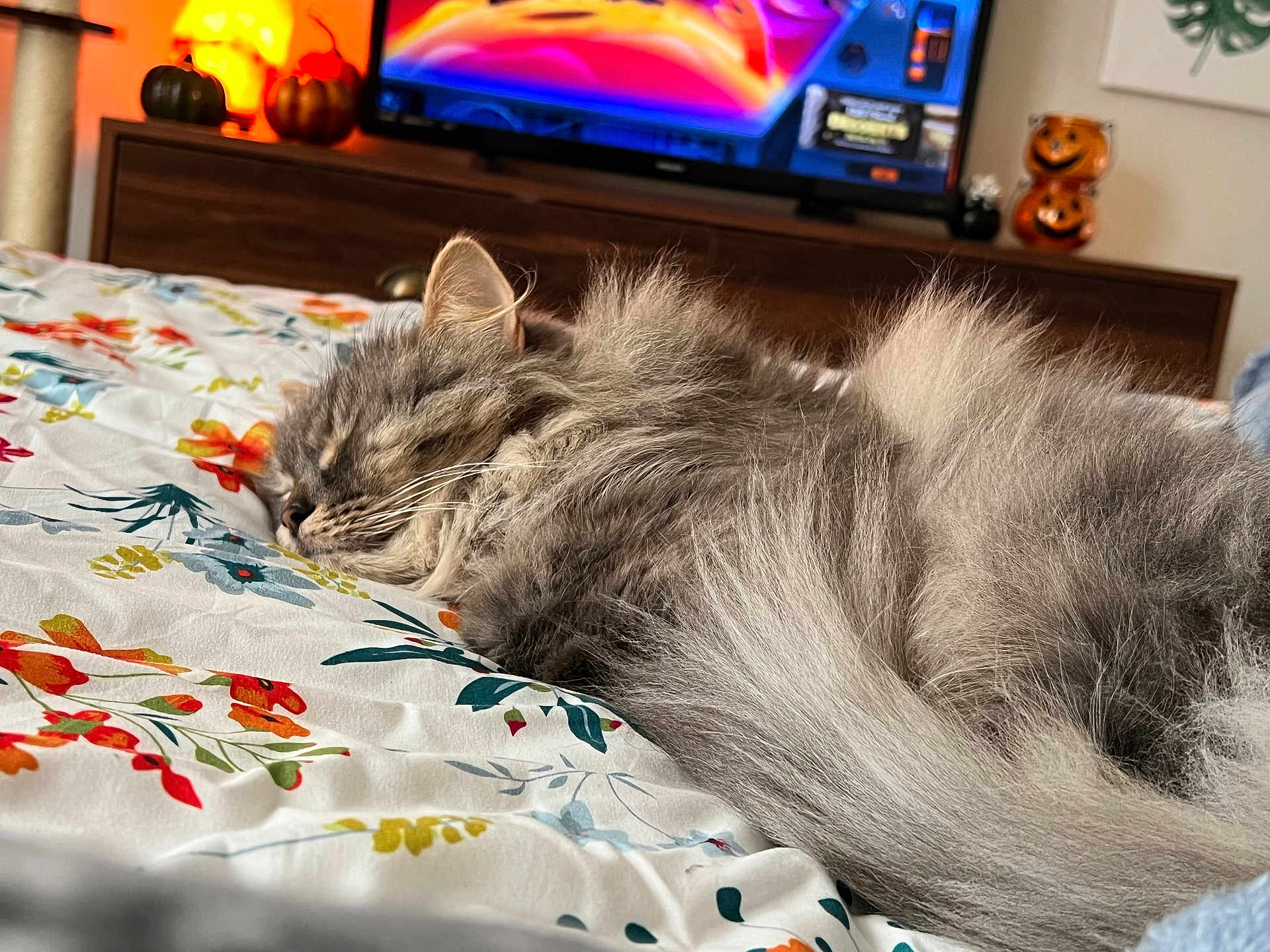 Freyja
