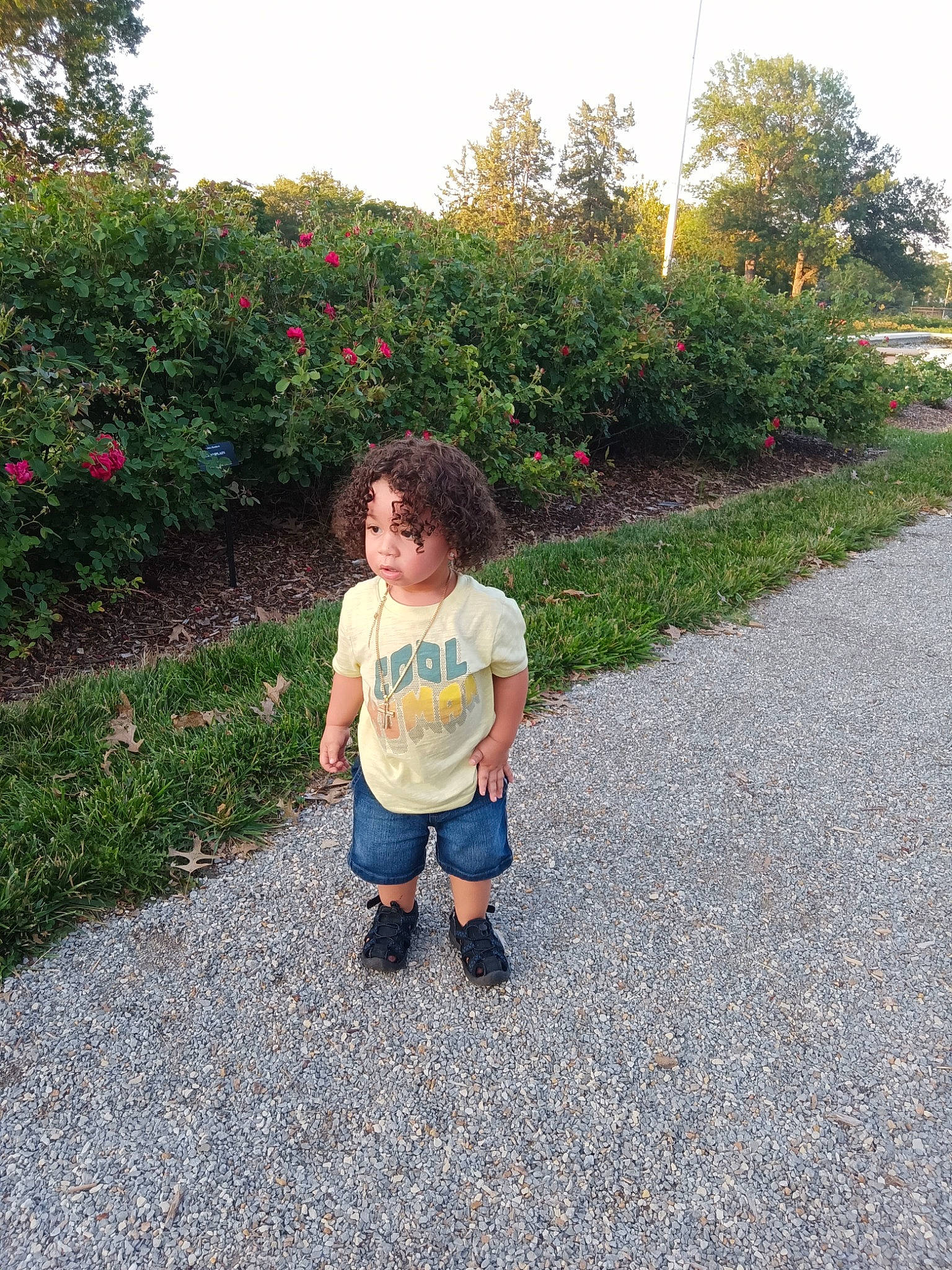 Levius joined the competition — help win amazing prizes! asphalt, flower, fun, garden, grass, grass_family, groundcover, landscape, lawn, leisure, people_in_nature, person, plant, road, road_surface, shrub, sky, soil, toddler, tree