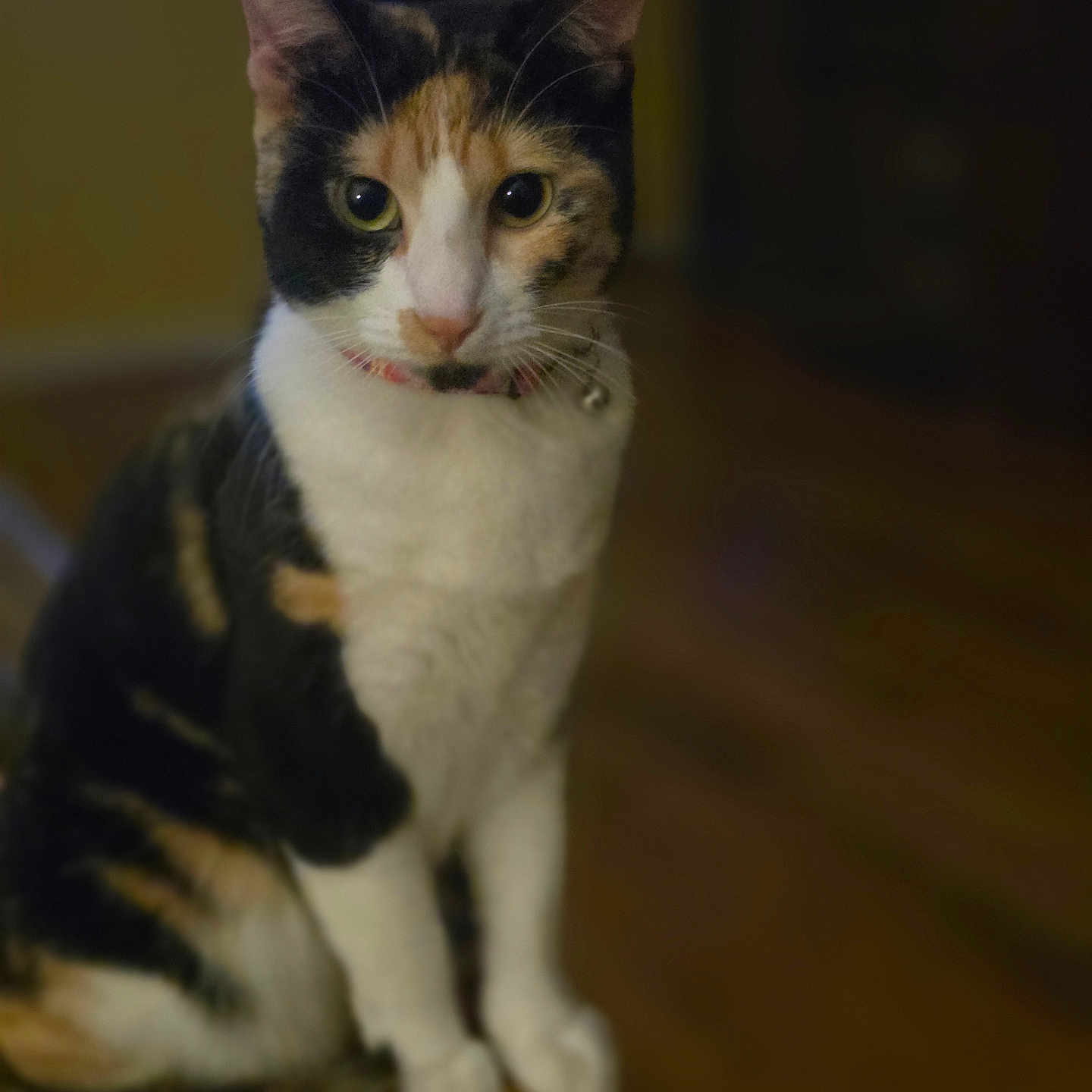 Rita