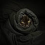 Stormy joined the competition — help win amazing prizes! cat, black_cat, fabric, dark, wrapped, animal, pet, cozy, fur, eyes, portrait, indoor, blanket, mystery, cute, face, closeup, soft, resting, hidden