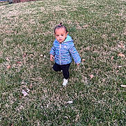 Jalynn Jr is registered to the contest to win money with this photo: child, toddler, grass, jacket, outdoor, lawn, curious, standing, leaves, brick_wall, shoes, person, daylight, nature, young_child, hair_beads, casual_clothing, playful, small_person, yard