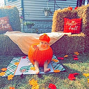 Steven Jr joined the competition — help win amazing prizes! baby, pumpkin, fall, autumn, hay_bales, orange, leaves, grass, decorations, hat, plaid, outdoor, seasonal, cute, child, holiday, festival, smiling, nature, celebration
