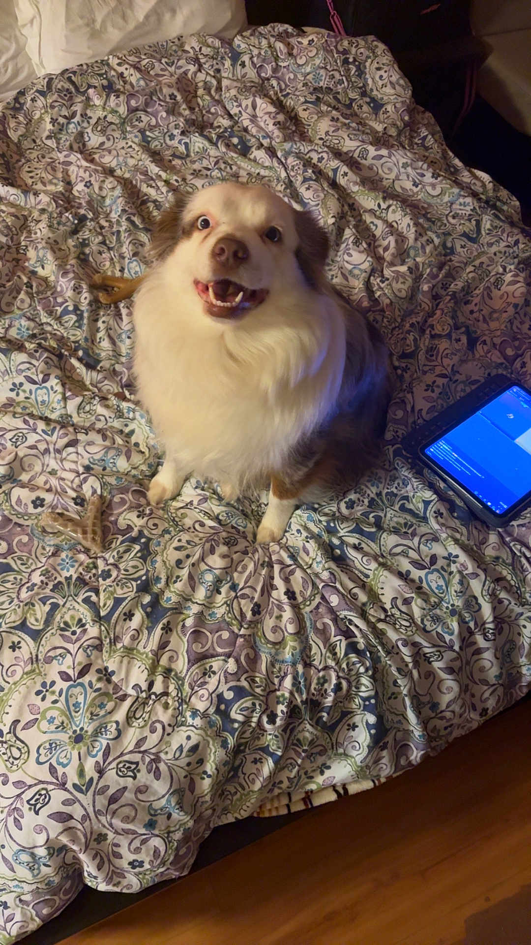 Presley