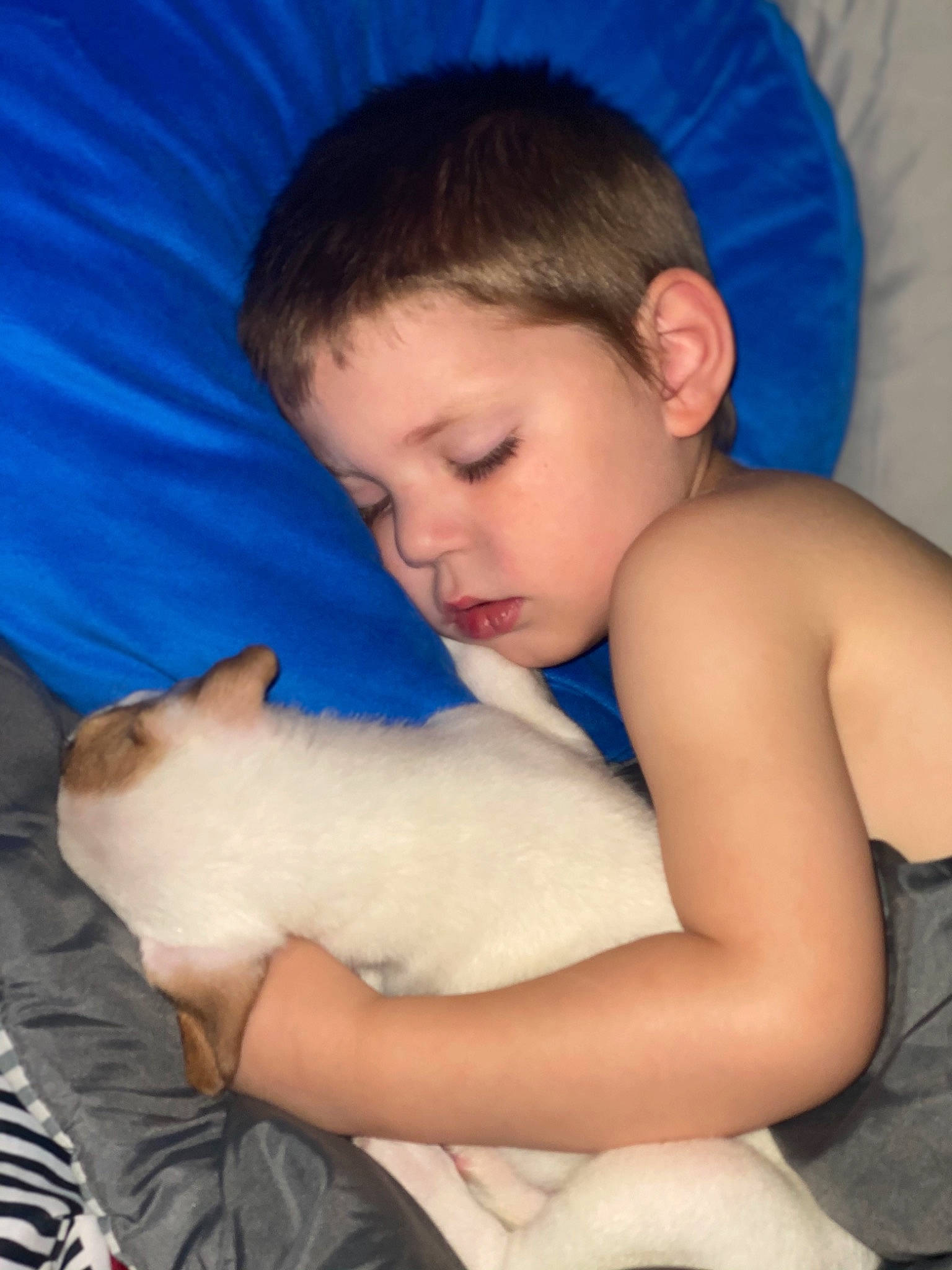 Allen Jr joined the competition — help win amazing prizes! arm, azure, black_hair, blue, cat, child, comfort, eye, facial_expression, fawn, felidae, hairstyle, happy, mammal, neck, person, skin, small_to_medium_sized_cats, textile, toddler