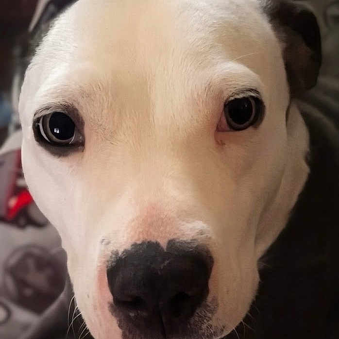 Nala