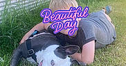 Nala is registered to the contest to win money with this photo: child, dog, grass, outdoor, toy, play, happy, lying_down, pet, casual, summer, greenery, metal_wall, boy, fun, animal, daytime, relaxing, nature, cute