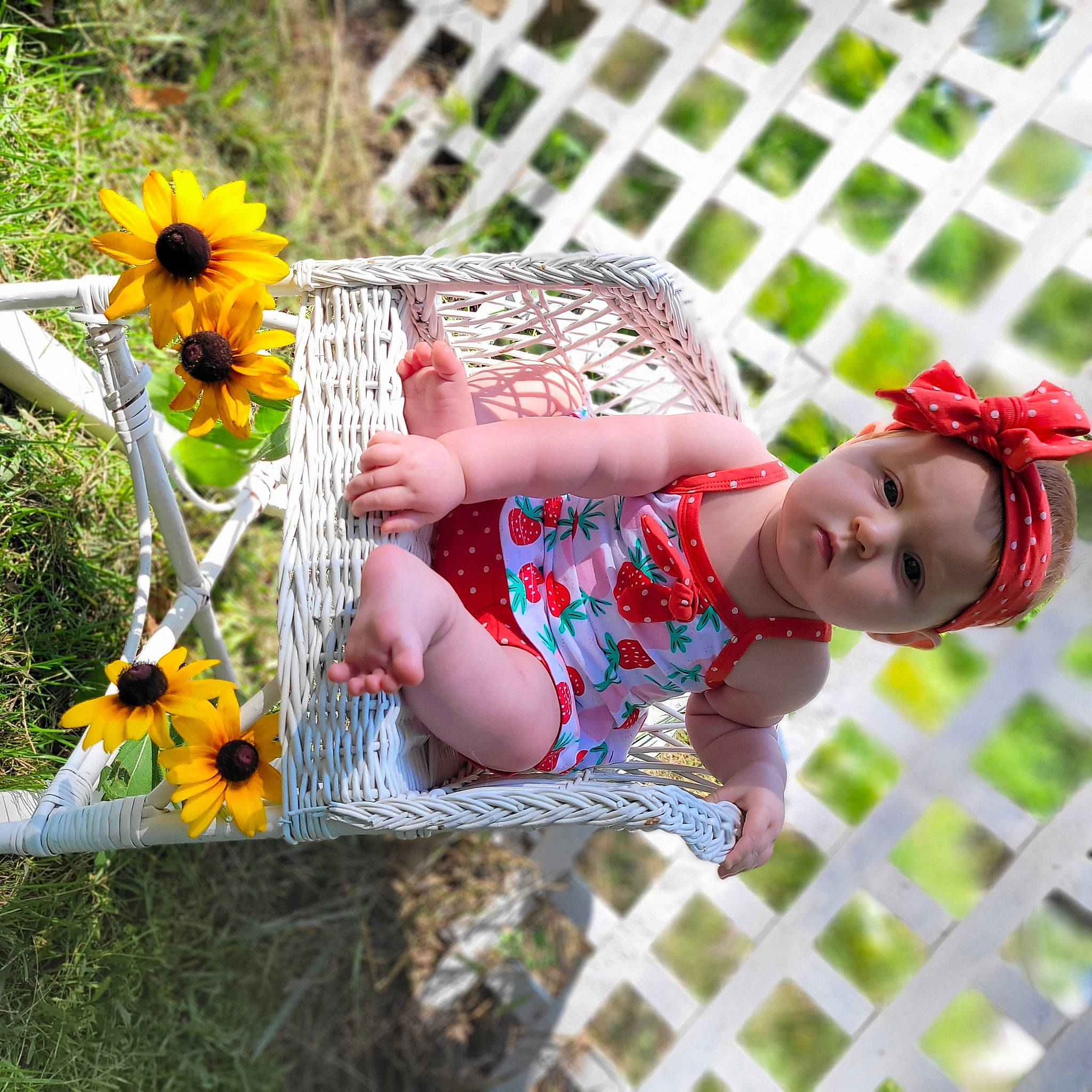 Kaisley is registered to the contest to win money with this photo: baby, baby_toddler_clothing, beauty, child, coneflower, dress, eye, fence, flower, grass, green, happy, headwear, leisure, people_in_nature, person, petal, plant, summer, sunflower