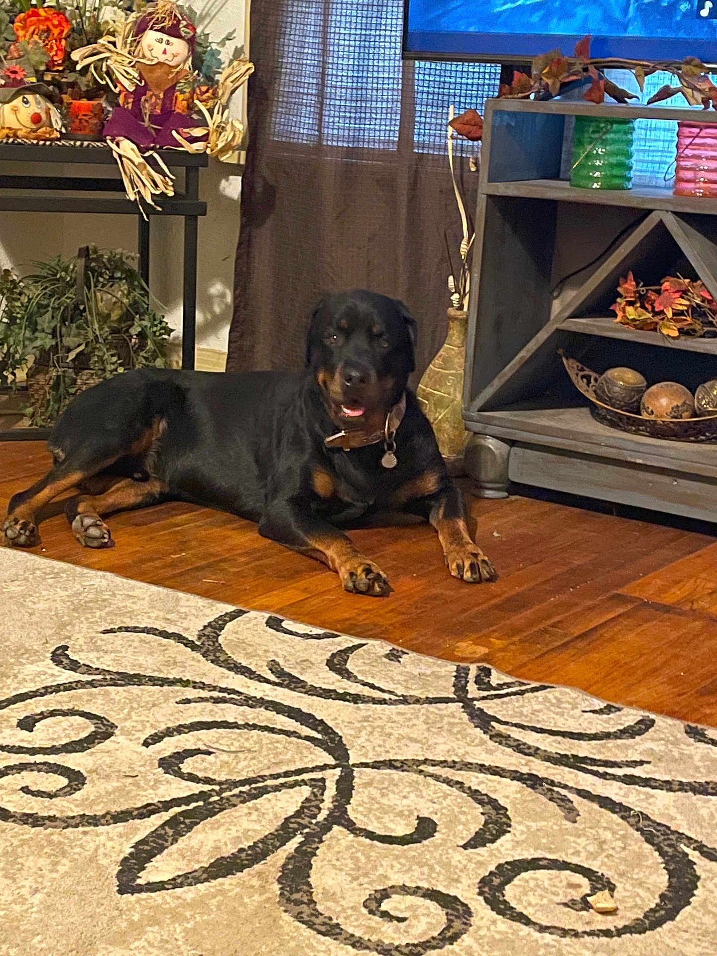 Odin