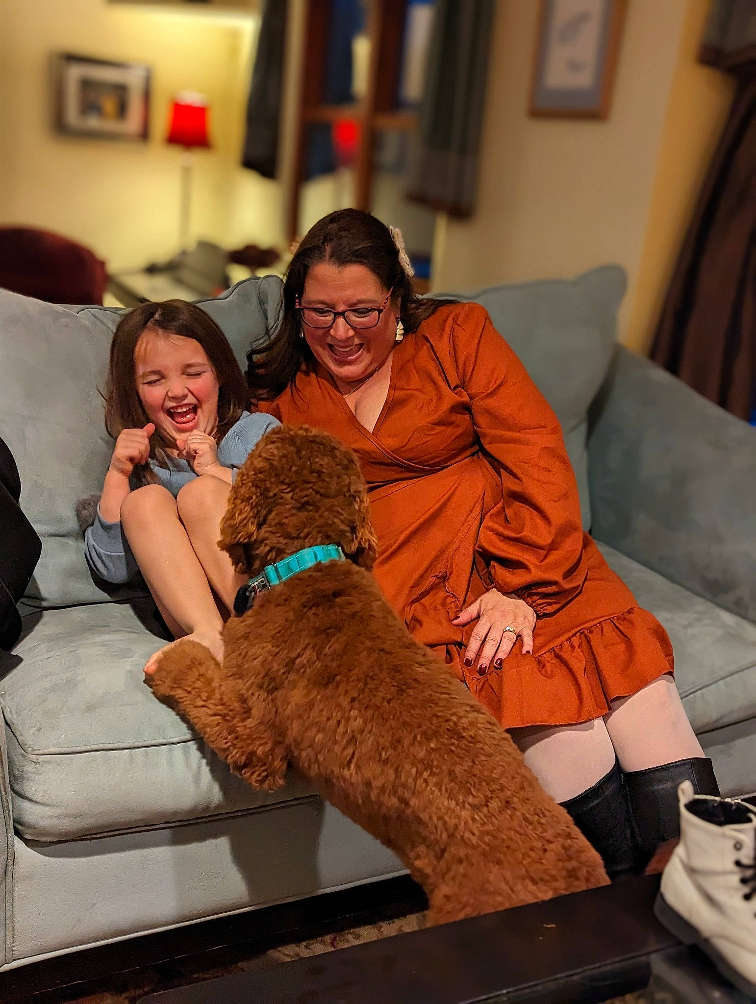 Caraline is registered to the contest to win money with this photo: carnivore, comfort, companion_dog, couch, dog, dog_breed, event, fawn, flooring, fun, fur, happy, joy, lap, leisure, person, picture_frame, poodle, smile, studio_couch