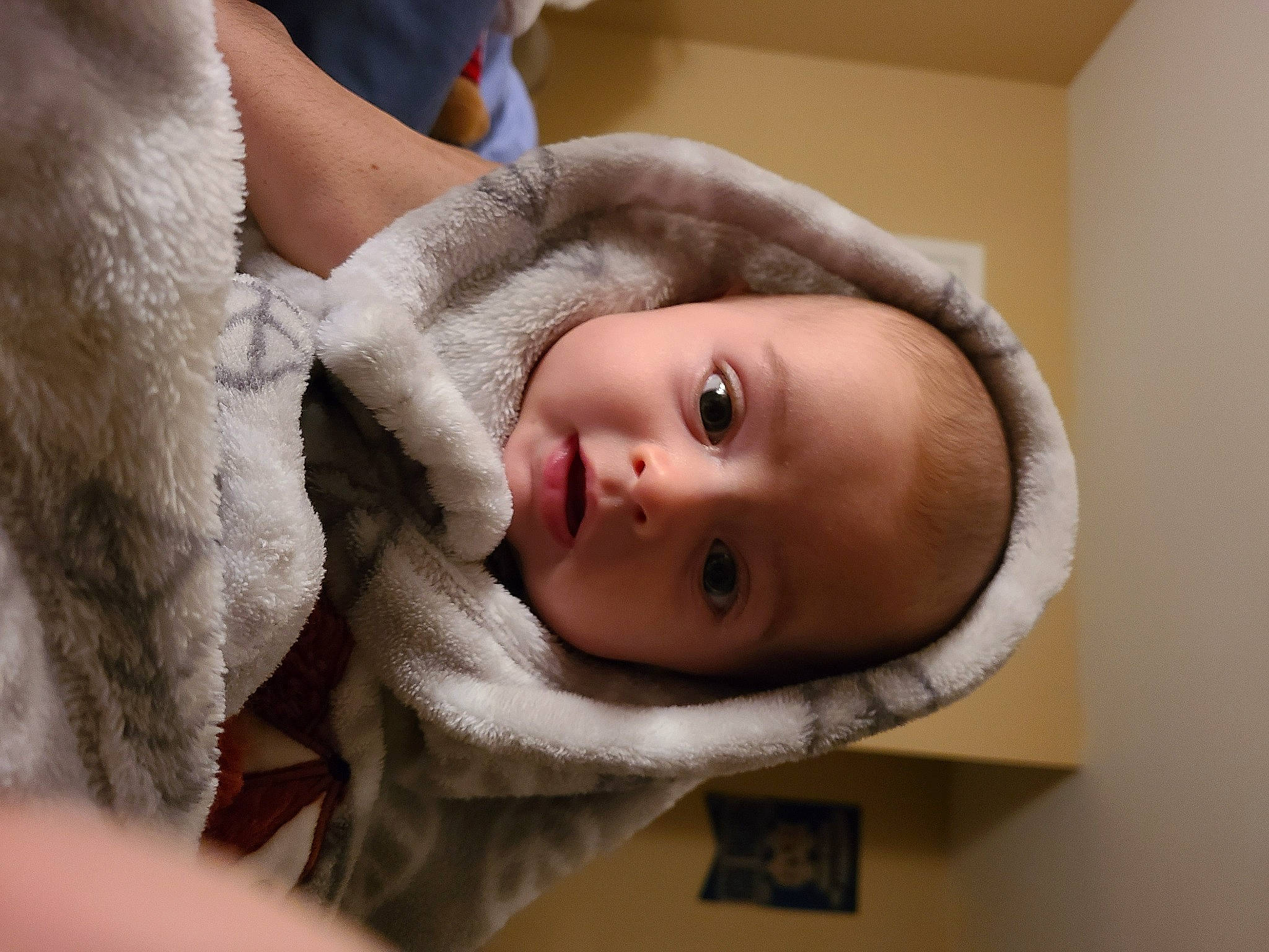 Cullen joined the competition — help win amazing prizes! baby, baby_toddler_clothing, cheek, eyelash, fur, human, iris, lip, person, skin, stuffed_toy, toy