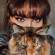 Maika a rejoint le concours — aidez-le/la à gagner de superbes lots ! animal, bangs, brown_hair, calm, cat, closeup, colorful_clothing, eyes, face, feline, fluffy, indoor, intense_gaze, long_hair, looking_at_camera, orange_eyes, person, pet, portrait, whiskers