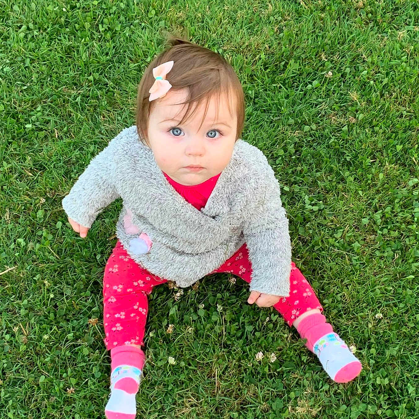 Amélia participe au concours pour gagner de l'argent avec cette photo : baby, babycrawling, clothing, crawling, face, grass, green, head, hosiery, lawn, nature, outdoors, pants, park, person, photography, plant, portrait, sitting, sock