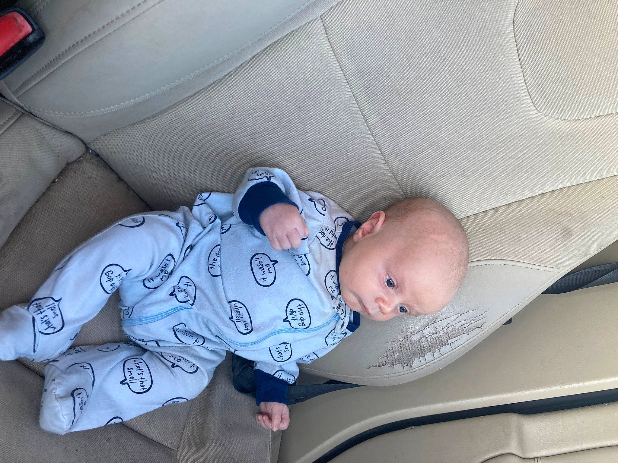 Gunner is registered to the contest to win money with this photo: auto_part, baby, baby_products, baby_safety, baby_sleeping, baby_toddler_clothing, bedtime, car_seat, car_seat_cover, child, comfort, linens, nap, pattern, person, room, sitting, sleep, sleeve, toddler