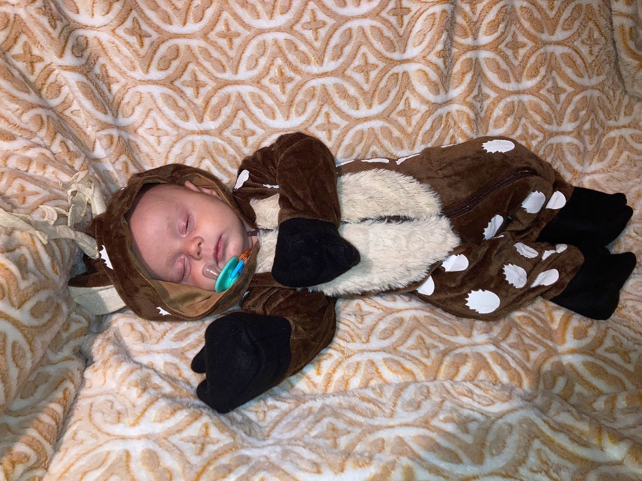 Gunner joined the competition — help win amazing prizes! baby, baby_toddler_clothing, bedding, bedtime, brown, child, comfort, flooring, fur, head, headwear, linens, nap, pattern, person, product, room, sitting, sleeve, toddler