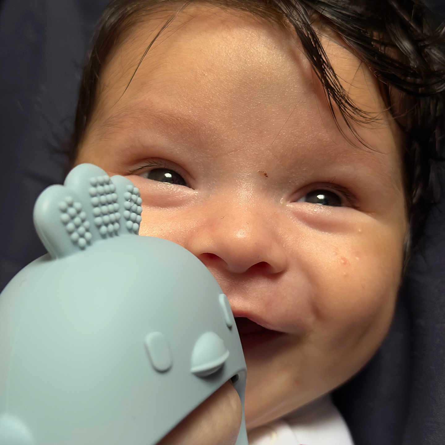 Ryan is registered to the contest to win money with this photo: baby, bird_toy, child, close_up, cute, expression, face, hair, hand, happy, indoors, infant, person, play, portrait, skin, smile, soft_toy, toy, young