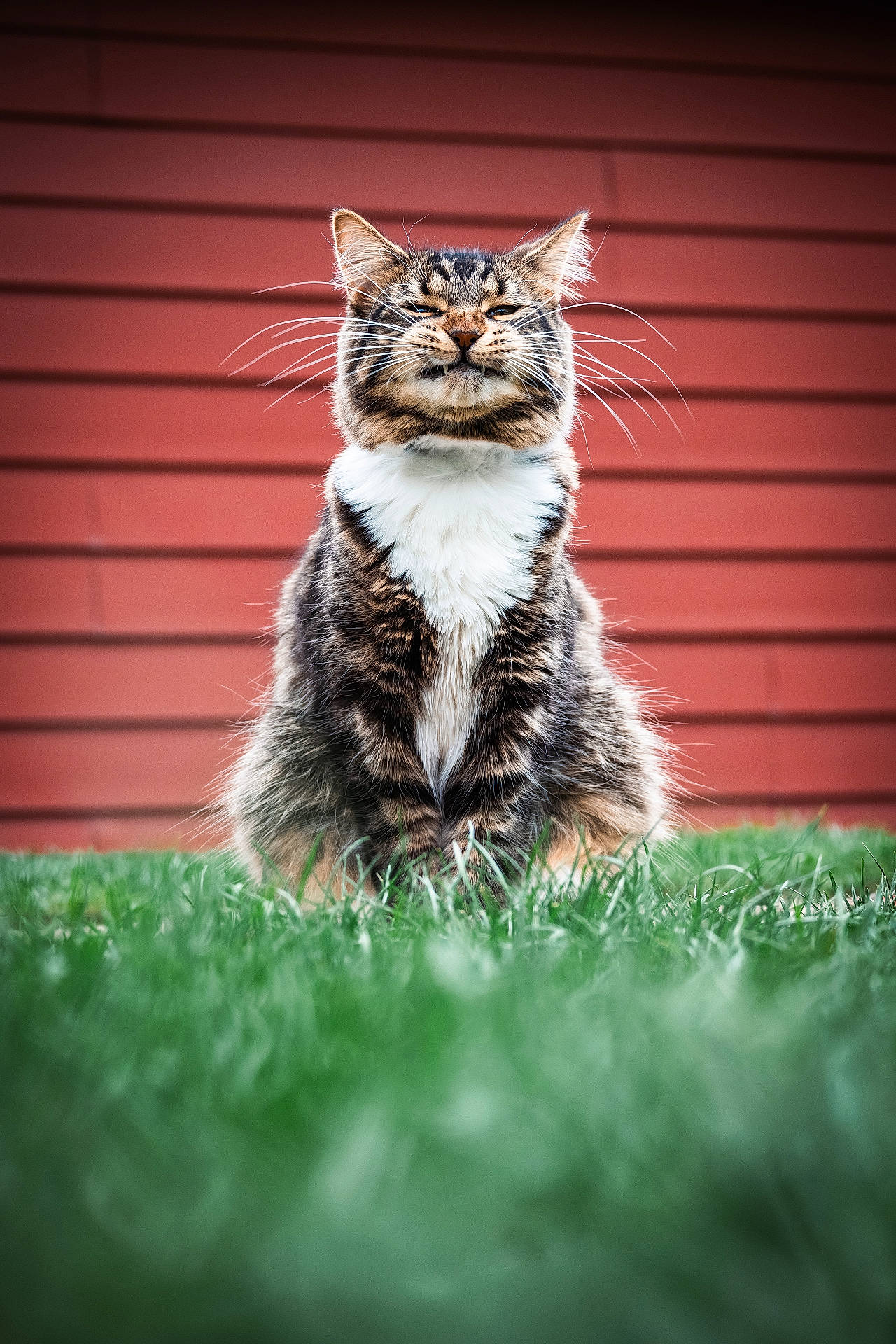Smudge