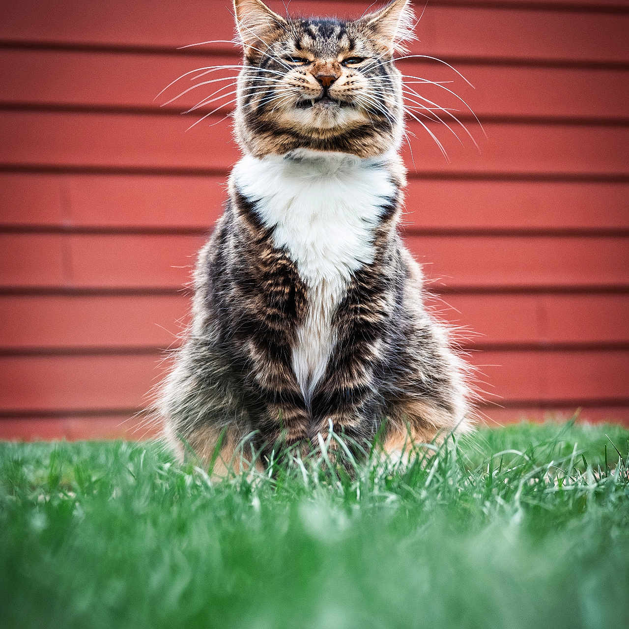 Smudge