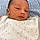 Momodou Lamine