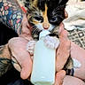 Harley joined the competition — help win amazing prizes! kitten, cat, calico, bottle_feeding, milk_bottle, animal, pet, fluffy, fur, whiskers, ears, blue_eyes, hands, tattoo, blanket, indoors, close_up, nursing, caregiving, cute