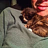 Harley is registered to the contest to win money with this photo: kitten, cat, person, face, portrait, cuddling, holding, sweater, clothing, furry, brown, sleepy, cozy, indoor, vehicle, sunlight, close_up, selfie, pet, whiskers