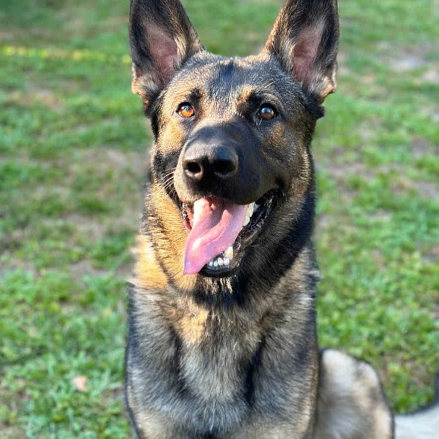 Aero