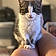 Pixel