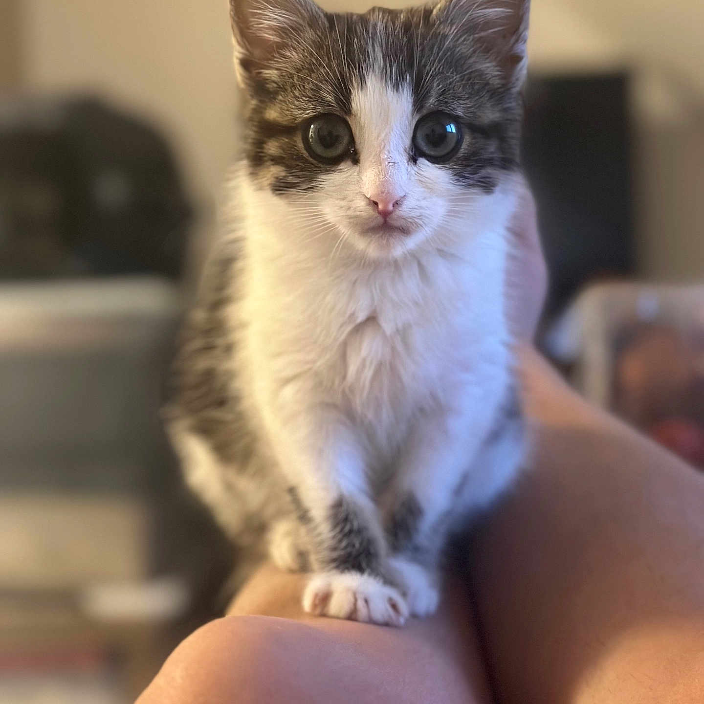 Pixel