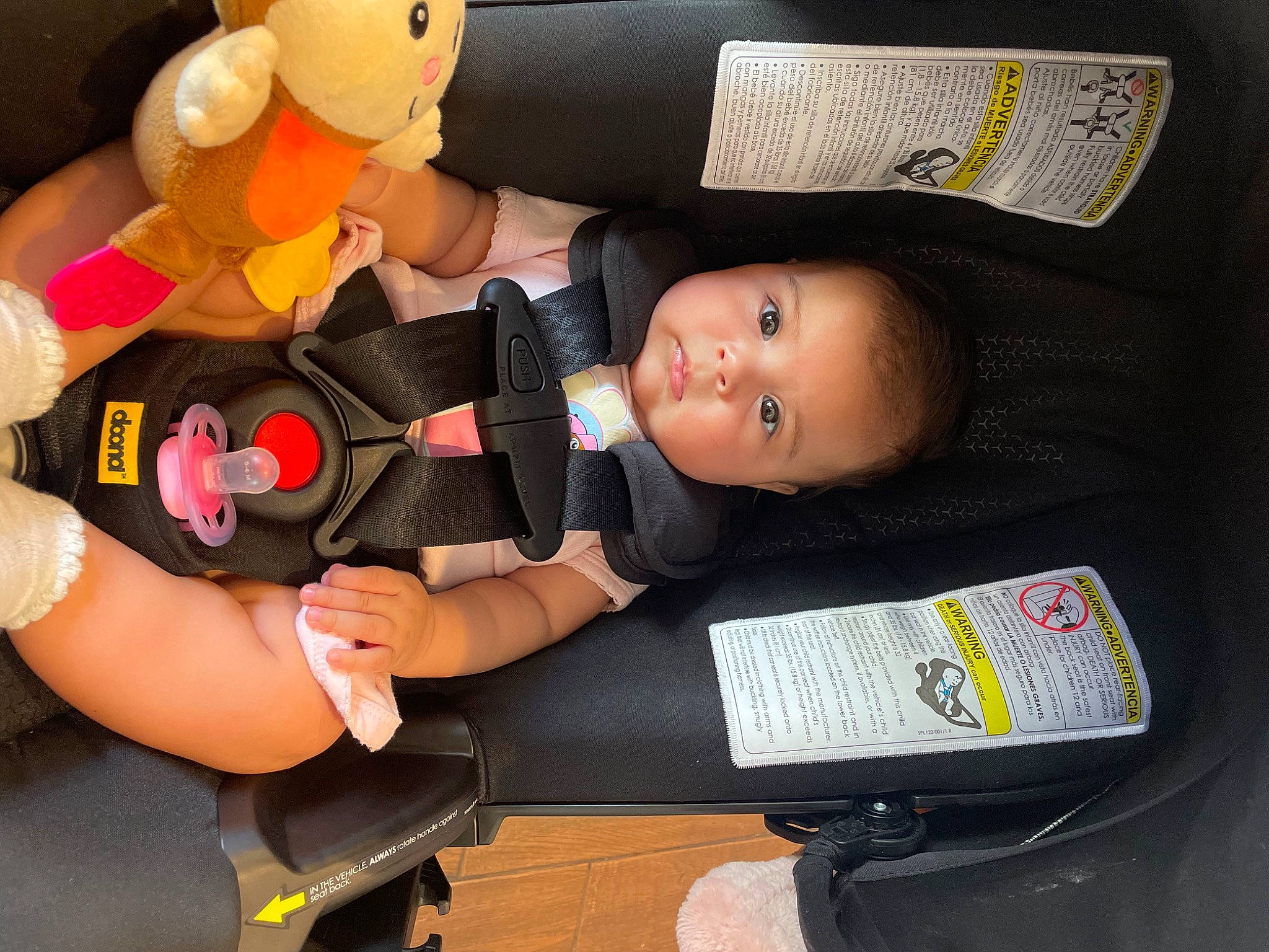 Camila joined the competition — help win amazing prizes! auto_part, baby, baby_carriage, baby_products, baby_safety, baby_toddler_clothing, baby_toys, car_seat, child, comfort, finger, gesture, hand, lap, nail, person, product, stuffed_toy, thumb, toddler