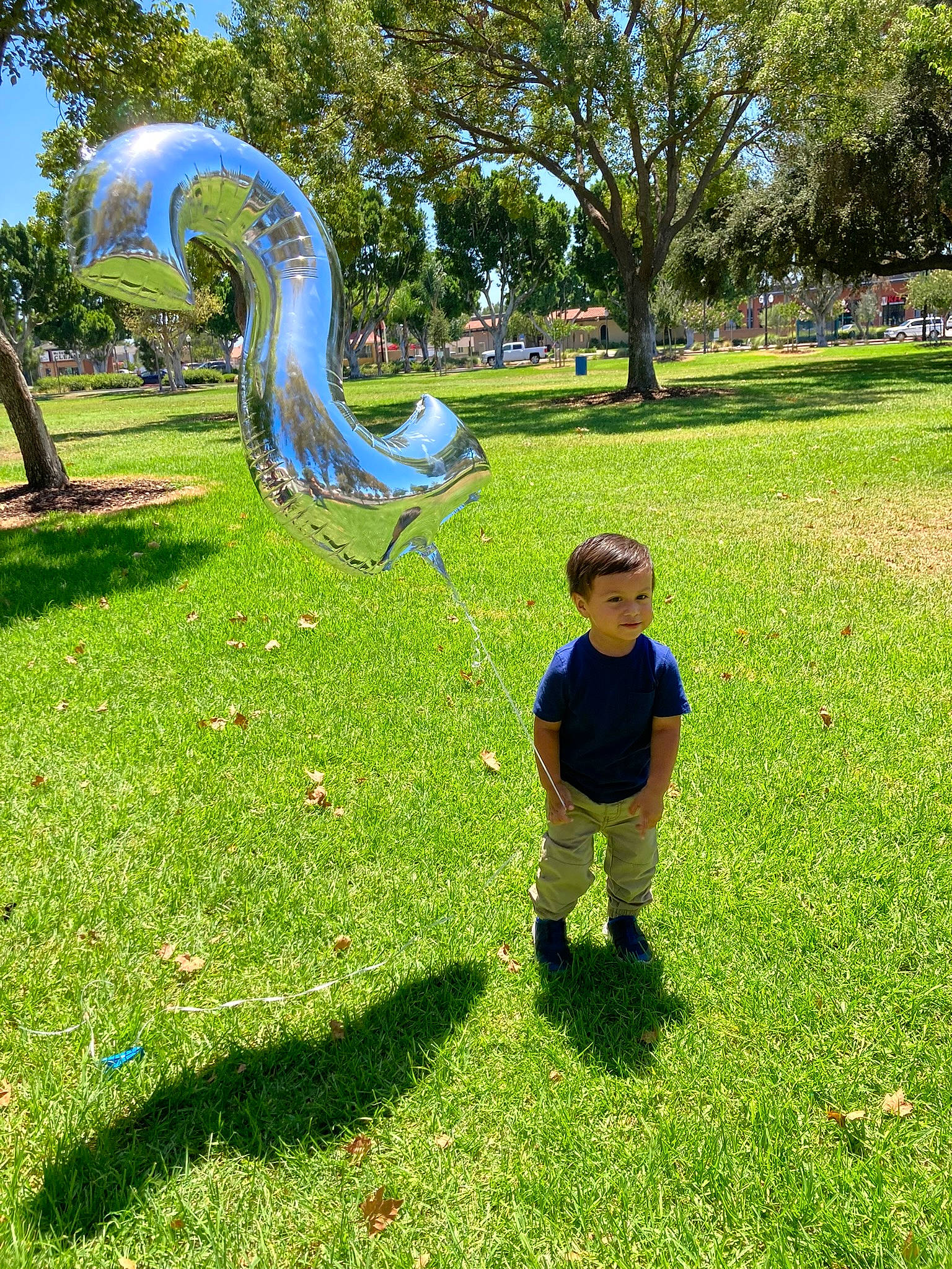 Sebastian is registered to the contest to win money with this photo: botany, fun, grass, grass_family, grassland, groundcover, landscape, lawn, leaf, leisure, meadow, natural_environment, people_in_nature, person, plant, recreation, shrub, sky, toddler, tree