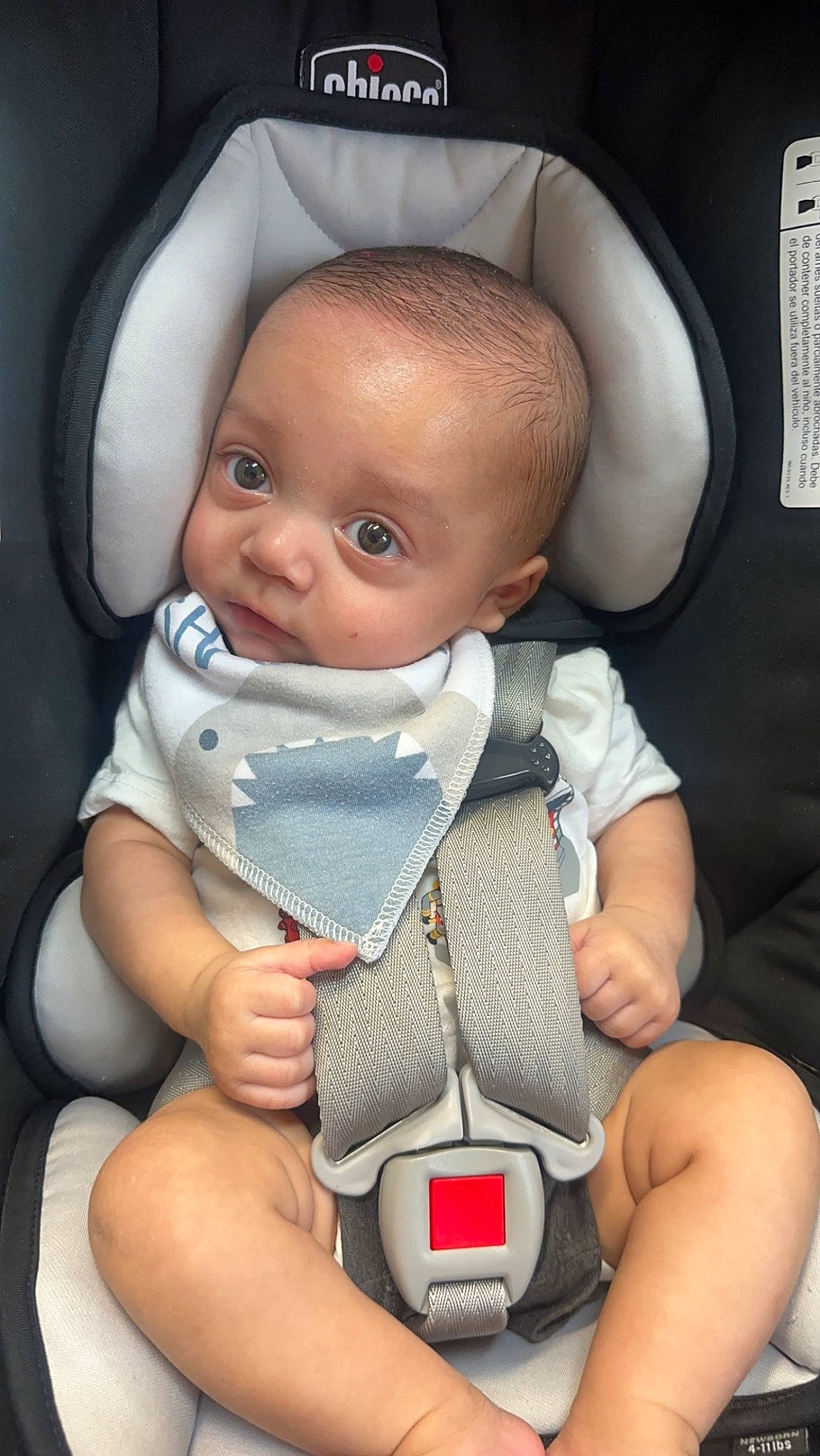 Lennix joined the competition — help win amazing prizes! baby, baby_carriage, baby_products, baby_safety, baby_toddler_clothing, car_seat, carmine, cheek, chest, child, comfort, nail, person, plastic, seat_belt, sitting, skin, thumb, toddler