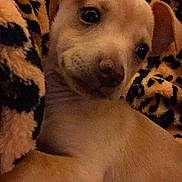 Lucky Manuel is registered to the contest to win money with this photo: