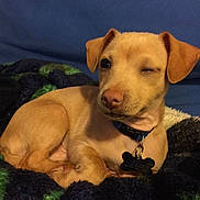 Lucky Manuel is registered to the contest to win money with this photo: