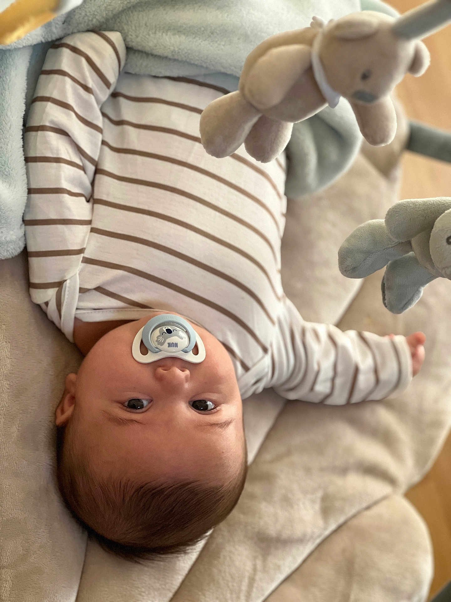 Elvis participe au concours pour gagner de l'argent avec cette photo : baby, pacifier, striped_clothing, plush_toy, cushion, soft_fabric, infant, lying_down, indoors, cute, child, face, head, sleepwear, comfort, toy, baby_girl, baby_boy, closeup, resting