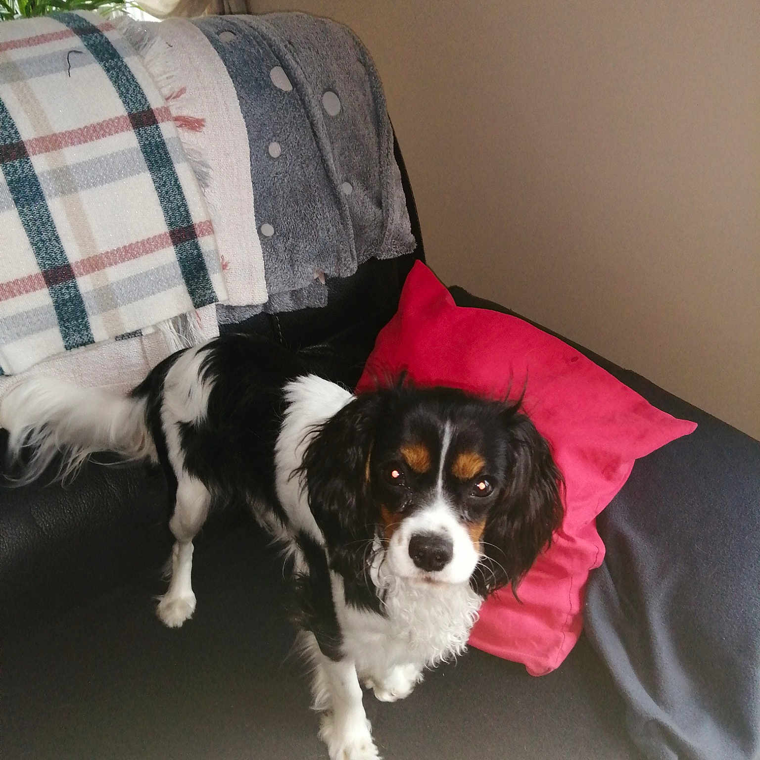 Tina
