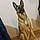 Xena