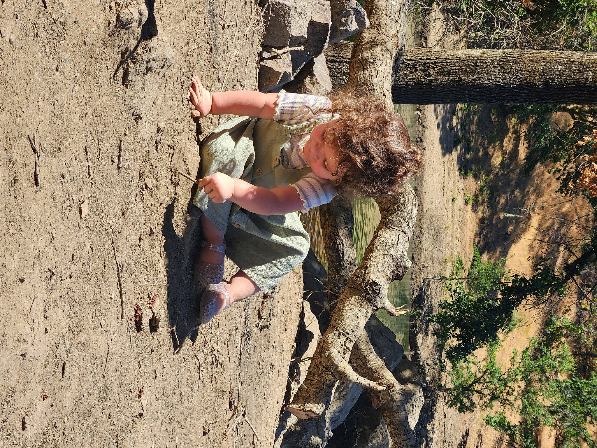 Lylah is registered to the contest to win money with this photo: adventure, bedrock, branch, elbow, fun, grass, happy, landscape, leisure, people_in_nature, person, plant, recreation, rock_climbing_equipment, rope, soil, sport_climbing, thigh, tree, trunk