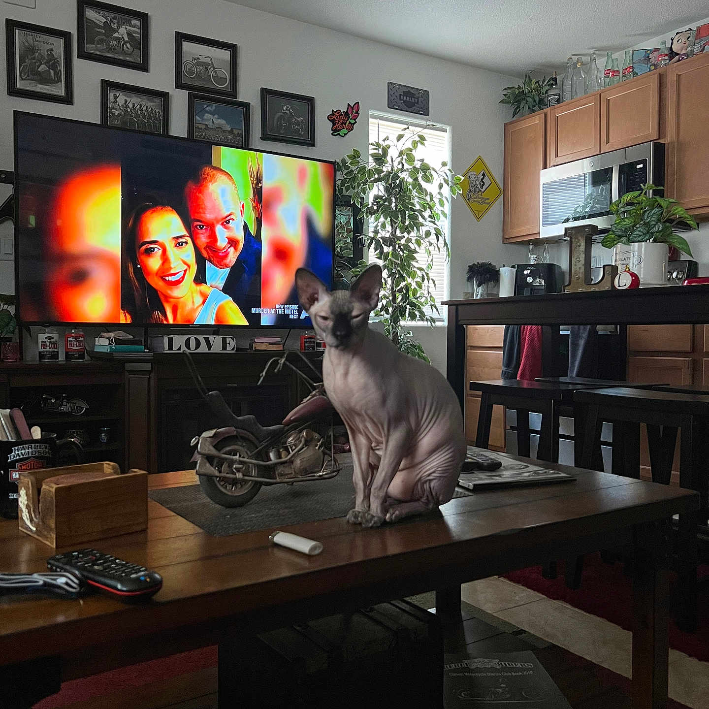 Simon is registered to the contest to win money with this photo: architecture, building, computerhardware, desk, diningroom, diningtable, electronics, furniture, hardware, indoors, interiordesign, livingroom, monitor, plant, pottedplant, room, screen, table, tv, wood