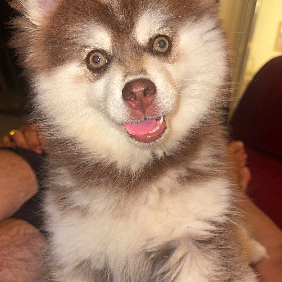 Ruby
