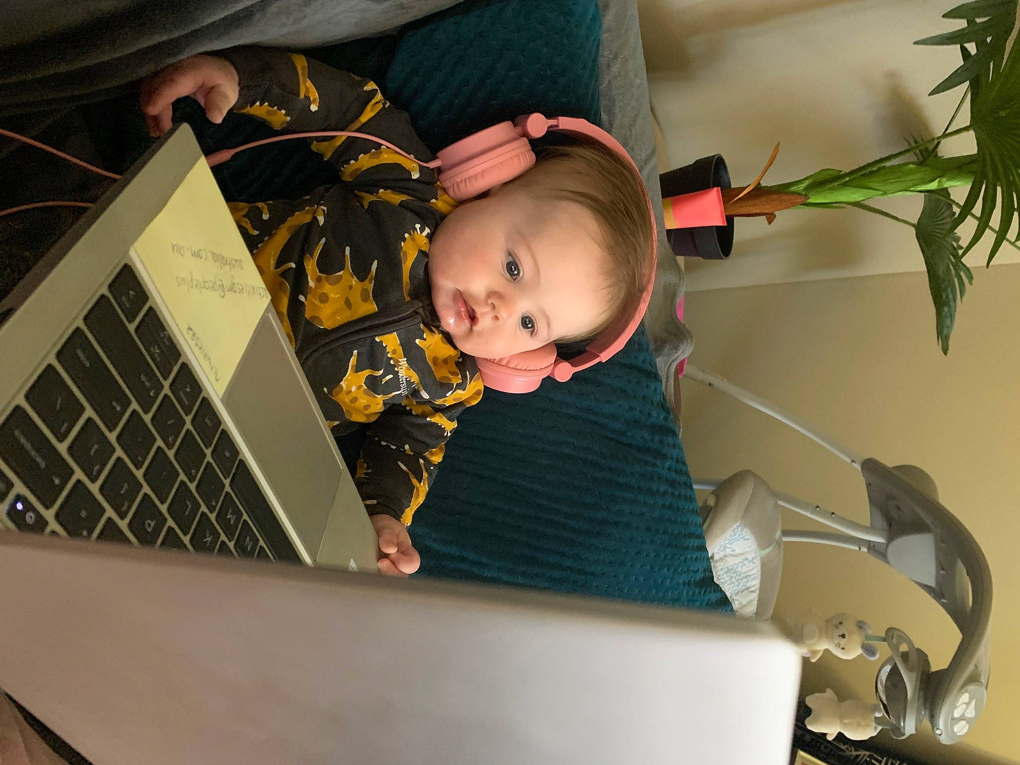 Oliver is registered to the contest to win money with this photo: baby, baby_toddler_clothing, child, comfort, computer, computer_hardware, fun, gadget, houseplant, input_device, lap, laptop, netbook, office_equipment, peripheral, person, personal_computer, plant, space_bar, toddler