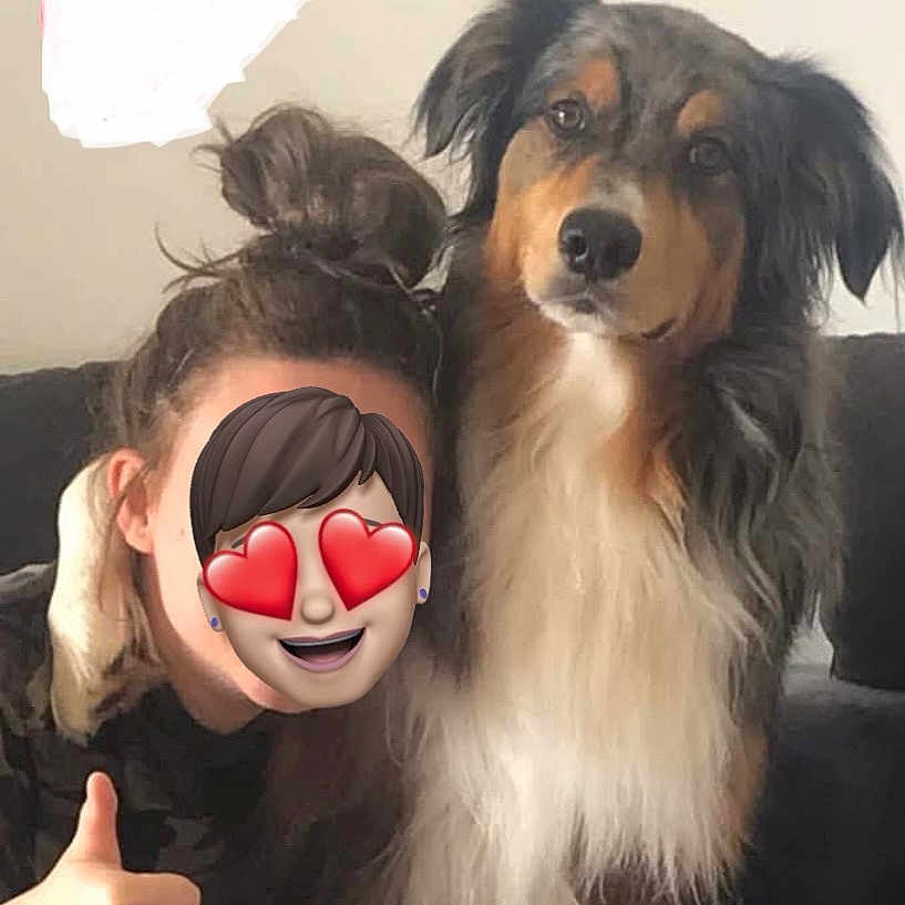 Oxy participe au concours pour gagner de l'argent avec cette photo : animal, black, brown, casual, companion, couch, cute, dog, fluffy, friendship, happy, home, indoor, long_hair, person, pet, relaxed, smile, thumbs_up, white