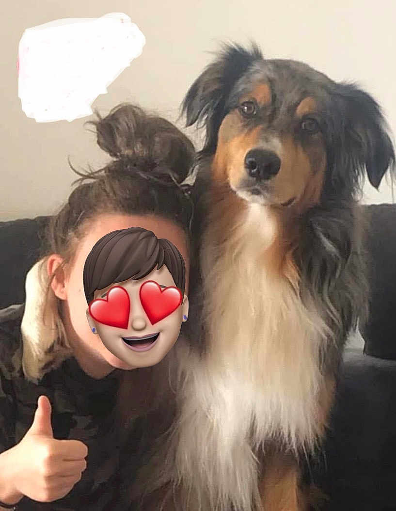 Oxy participe au concours pour gagner de l'argent avec cette photo : dog, person, thumbs_up, indoor, couch, fluffy, long_hair, black, brown, white, pet, companion, smile, happy, casual, home, friendship, animal, cute, relaxed