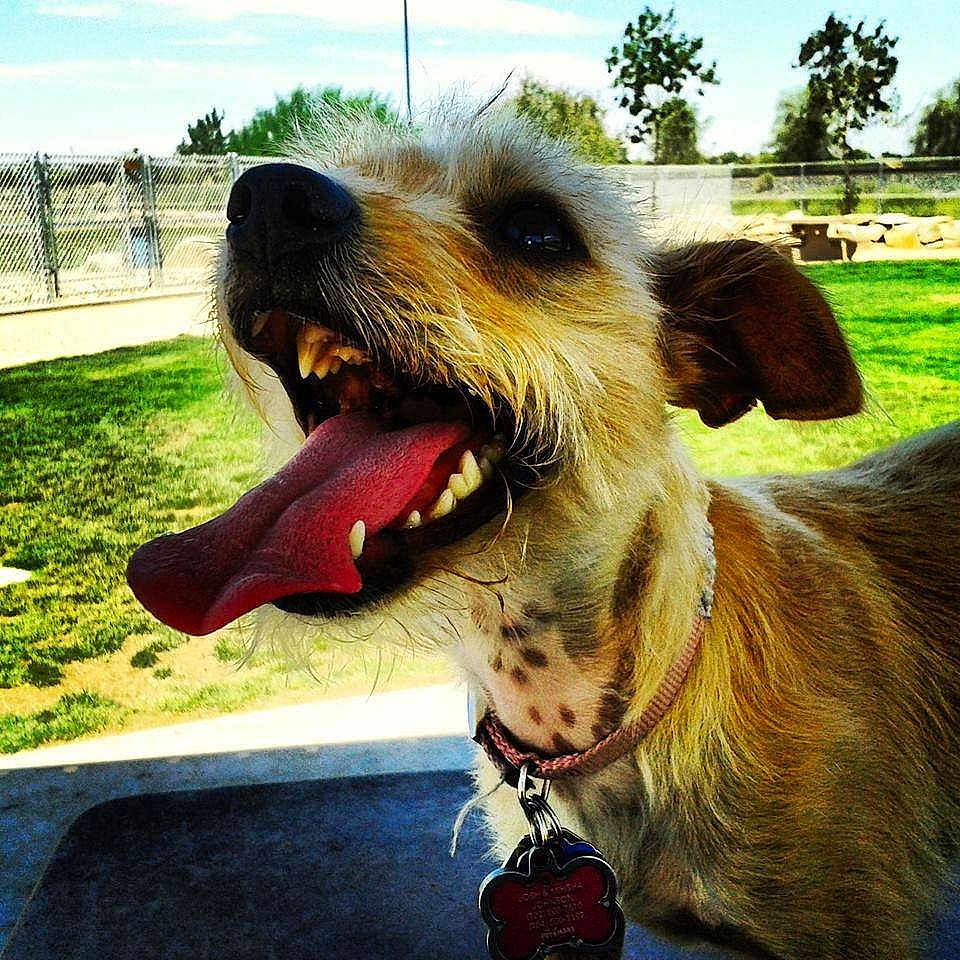 Hailey Bubbles is registered to the contest to win money with this photo: