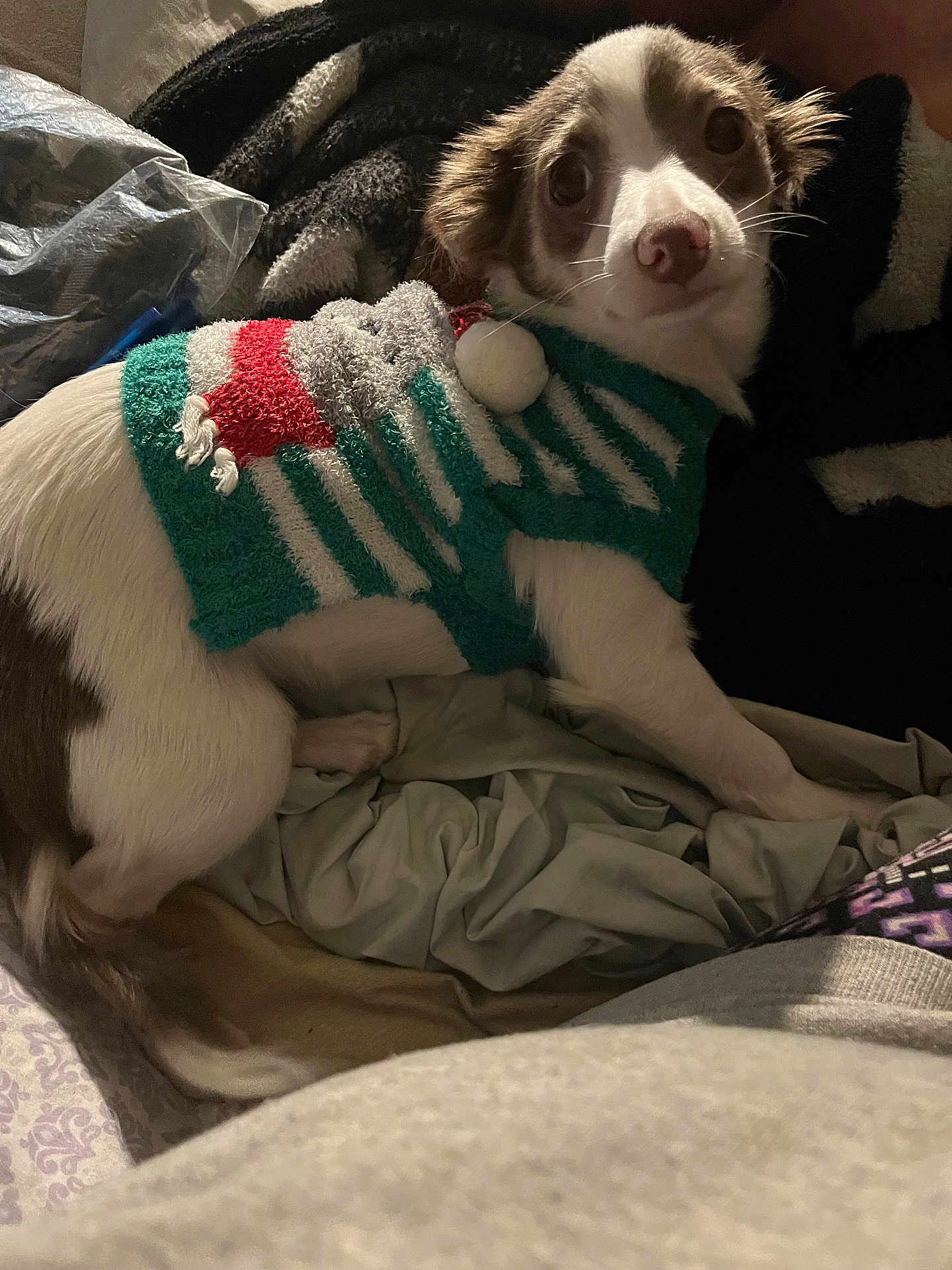Chloe