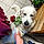 Tooby