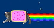 Sketti is registered to the contest to win money with this photo: cat, gray_cat, pastry, pink_frosting, rainbow, stars, night_sky, cartoon, meme, digital_art, composite_image, flying_cat, pixel_art, colorful, funny, pop_culture, space, animated_style, internet_meme, whiskers