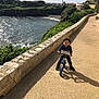 child, bicycle, outdoor, coast, ocean, pathway, sunlight, shadow, greenery, tree, stone_wall, smiling, happy, curly_hair, blue_clothing, pavement, nature, recreation, holiday, person