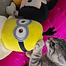 kitten, cat, plush_toy, minion, mickey_mouse, pink_cushion, soft_toys, curious, indoor, cute, pet, animal, feline, paw, playful, stuffed_animal, close_up, colorful, young, exploration